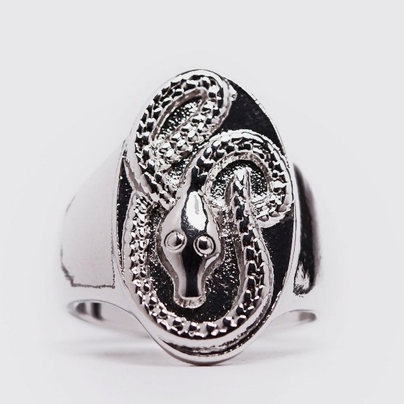 Other - Snake Ring